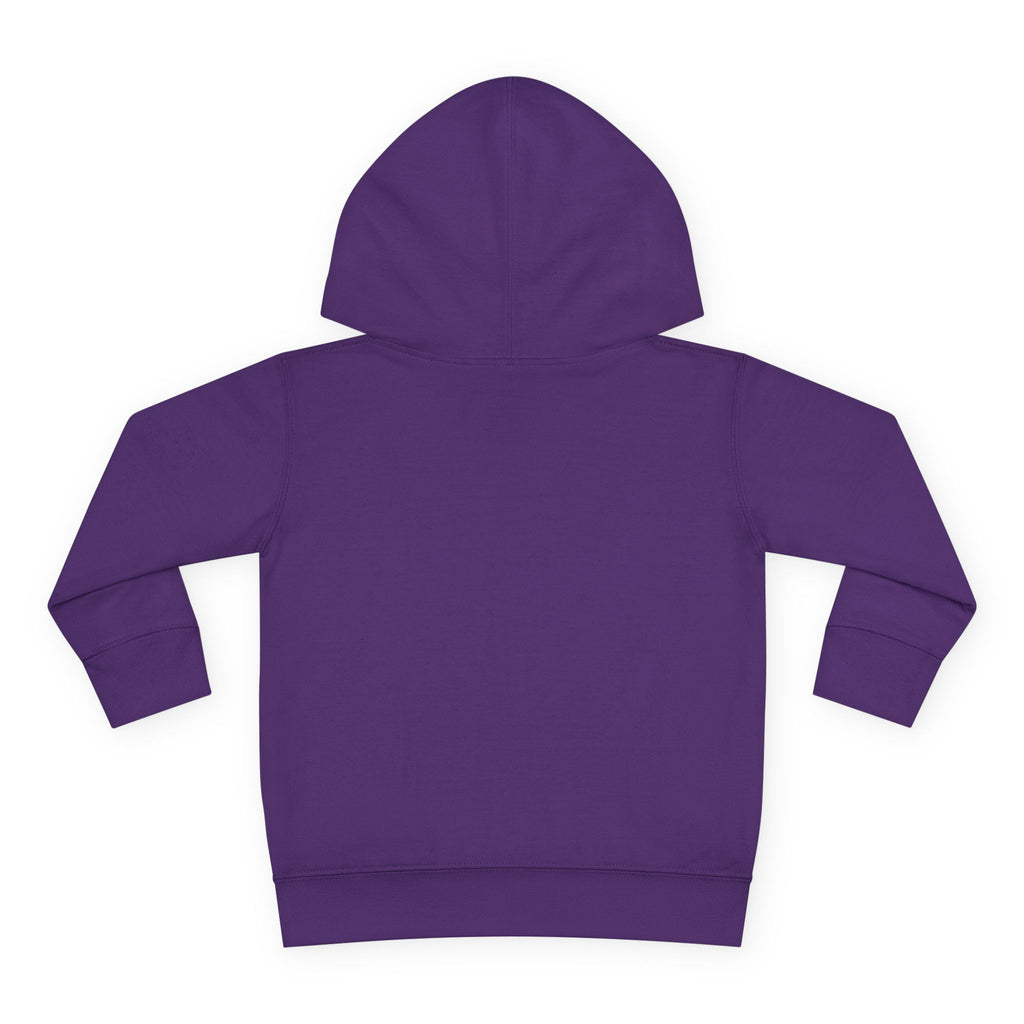 Copy of Hopeful Toddler Pullover Fleece Hoodie, Cute Youth Sweatshirt, Inspirational Kids Gear, Cozy Children’s Apparel, Perfect Gift for Birthdays