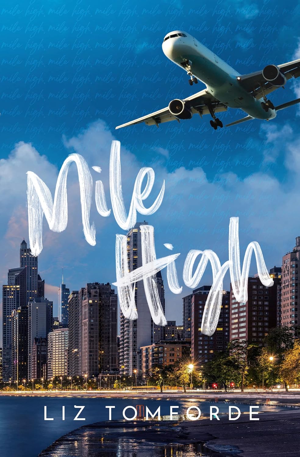 Couverture du livre Mile High avec avion et skyline, texte et auteur Liz Tomfoerde