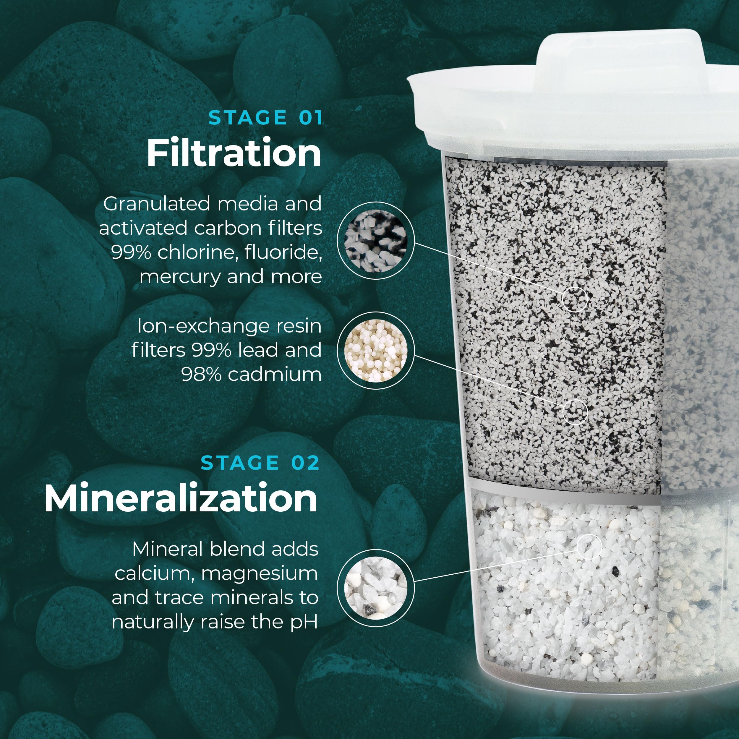 Santevia MINA Alkaline Water Filter Pitcher | Water Filtration System | Chlorine and Lead Filter | Water Purifier Pitcher | Home Water Filtration Pitcher | 9-Cup at Home Water Filter | Made in Canada